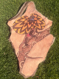 Frilled Neck Lizard
