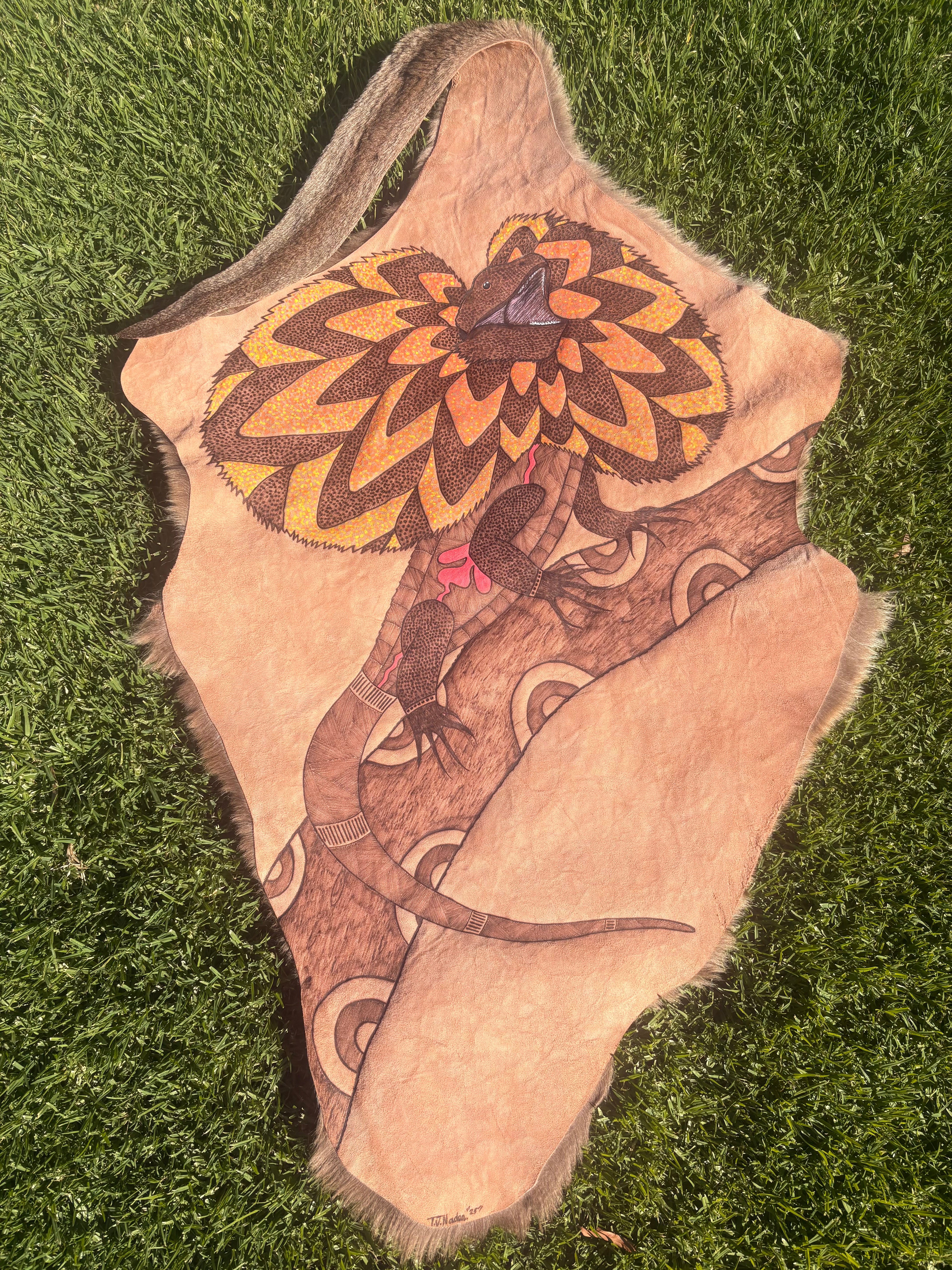 Frilled Neck Lizard